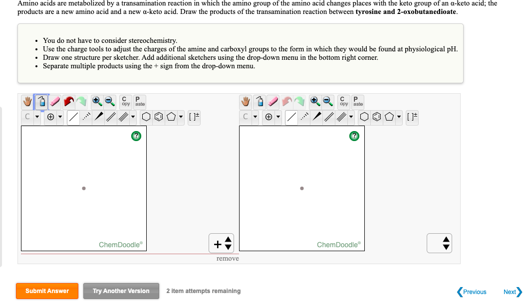 Amino acids are metabolized by a transamination