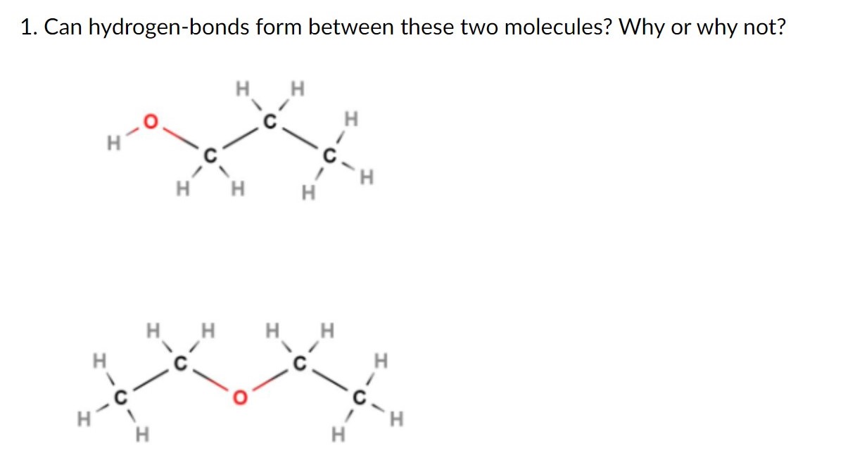 Solved 1. Can hydrogen-bonds form between these two | Chegg.com