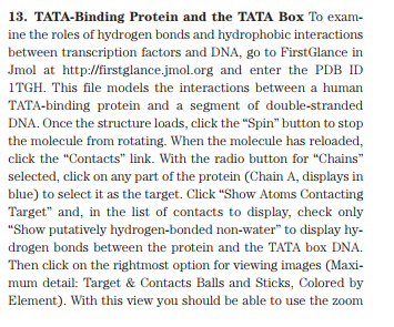 13. TATA-Binding Protein And The TATA Box To Exam- | Chegg.com