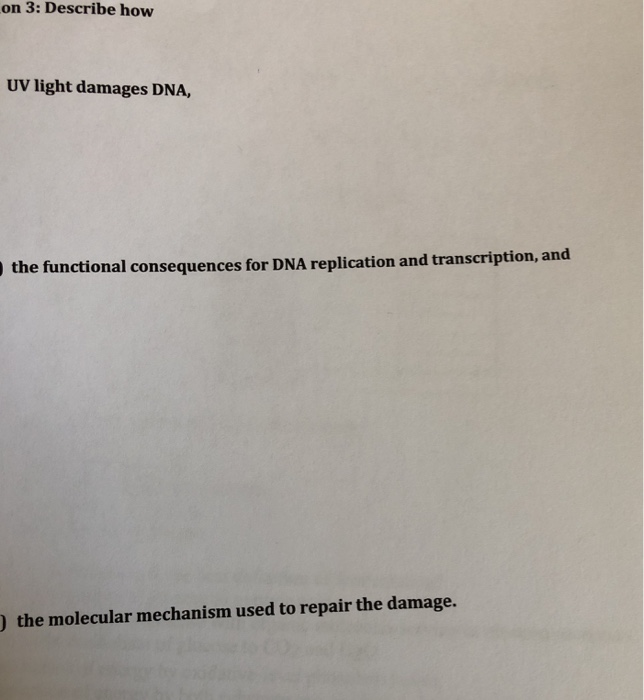 Solved on 3: Describe hovw UV light damages DNA, the funct | Chegg.com
