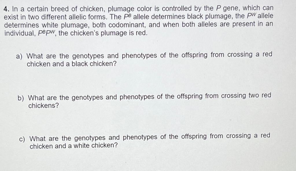 Solved 4. In a certain breed of chicken, plumage color is | Chegg.com
