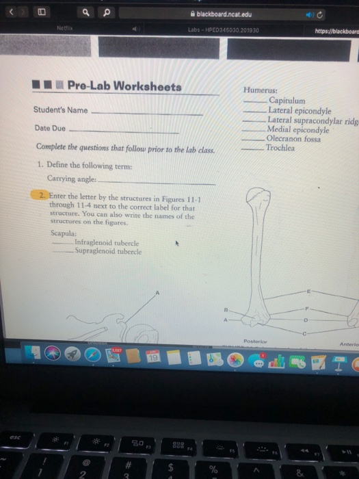 Solved a blackboard.ncat.edu https//blackboara