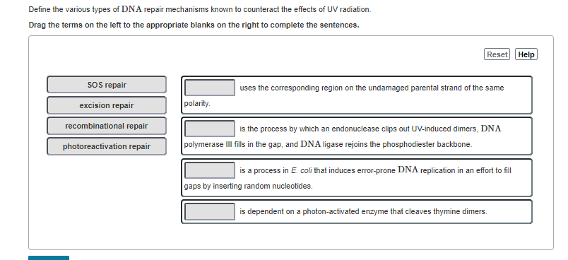 Solved Define the various types of DNA repair mechanisms | Chegg.com
