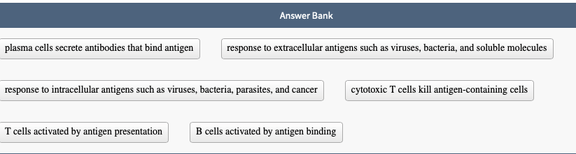 Solved Match each description with the appropriate type of | Chegg.com