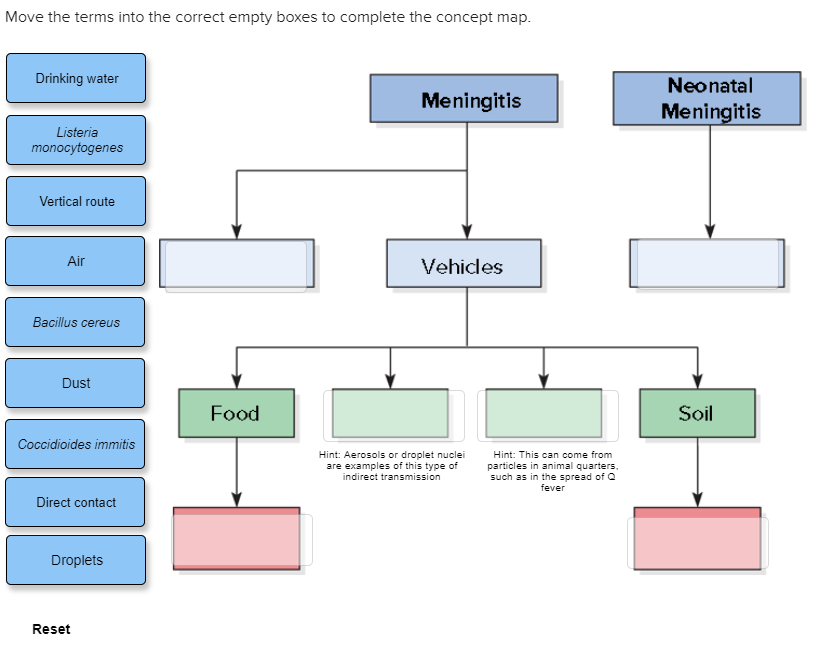 Solved Move the terms into the correct empty boxes to | Chegg.com