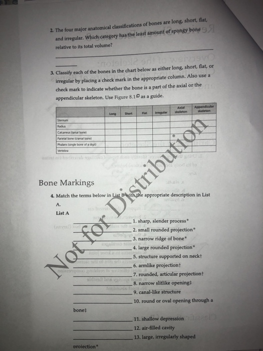 Overview Of The Skeleton Exercise 7 Answer Key - ExerciseWalls
