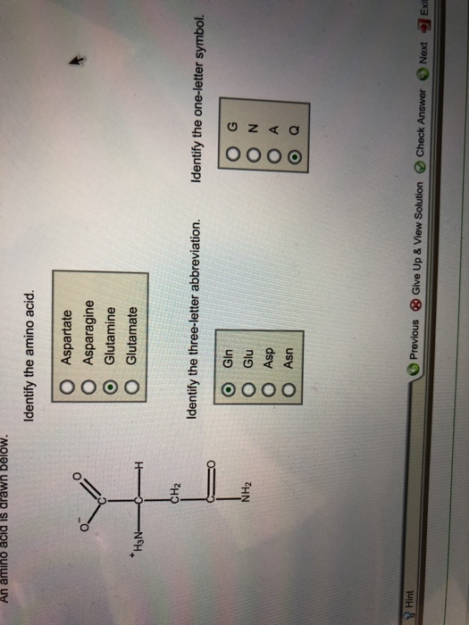 Solved An amino acid is drawn below. Identify the amino | Chegg.com