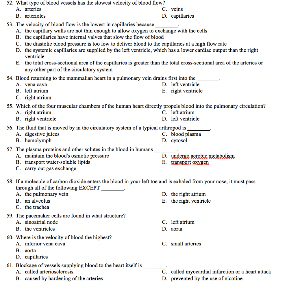 solved-52-what-type-of-blood-vessels-has-the-slowest-chegg