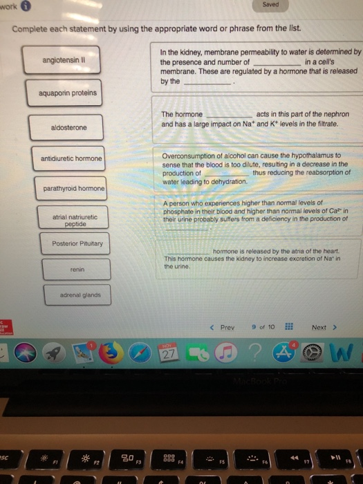 Solved work Saved Complete each statement by using the | Chegg.com