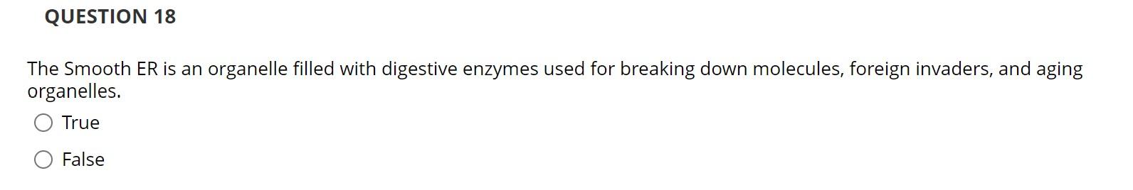 The Smooth ER is an organelle filled with digestive enzymes used for breaking down molecules, foreign invaders, and aging org