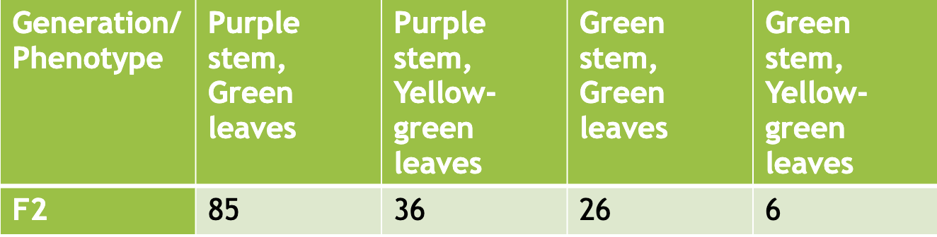 Solved Mendelian inheritance Dihybrid cross (Wisconsin fast | Chegg.com