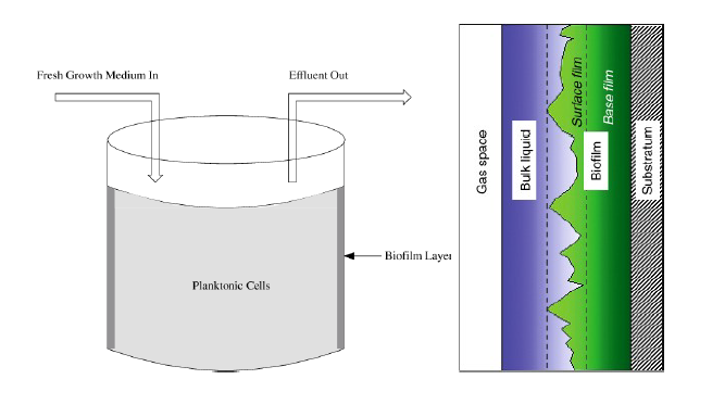 Solved Biological Nitrogen Removal Through Nitrification And | Chegg.com