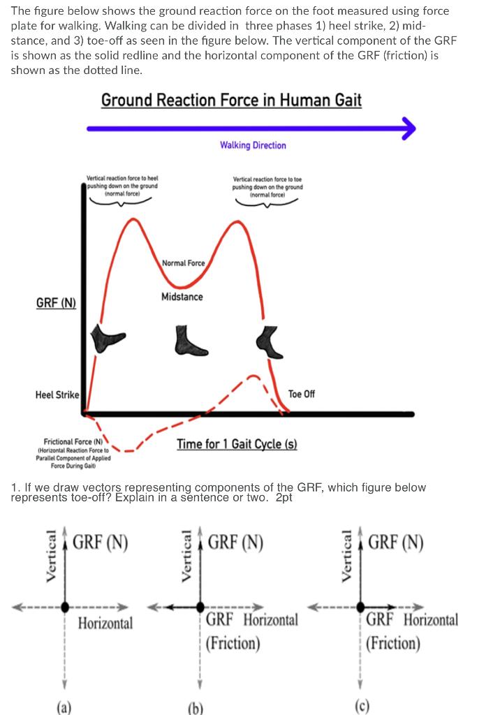 Solved The figure below shows the ground reaction force on