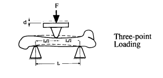Solved How can I calculate elastic modulus from 3 point bend | Chegg.com