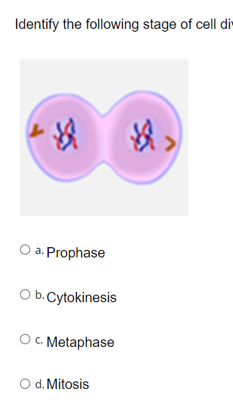 Solved Identify the following stage of cell di 以, O a. | Chegg.com