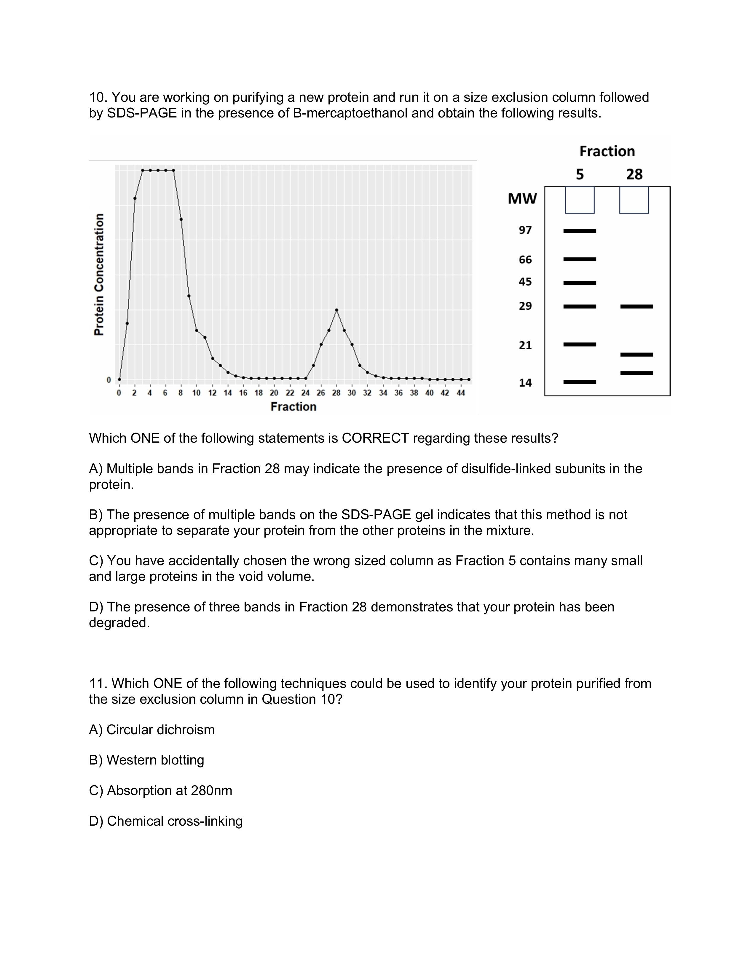 Solved 10. ﻿You are working on purifying a new protein and