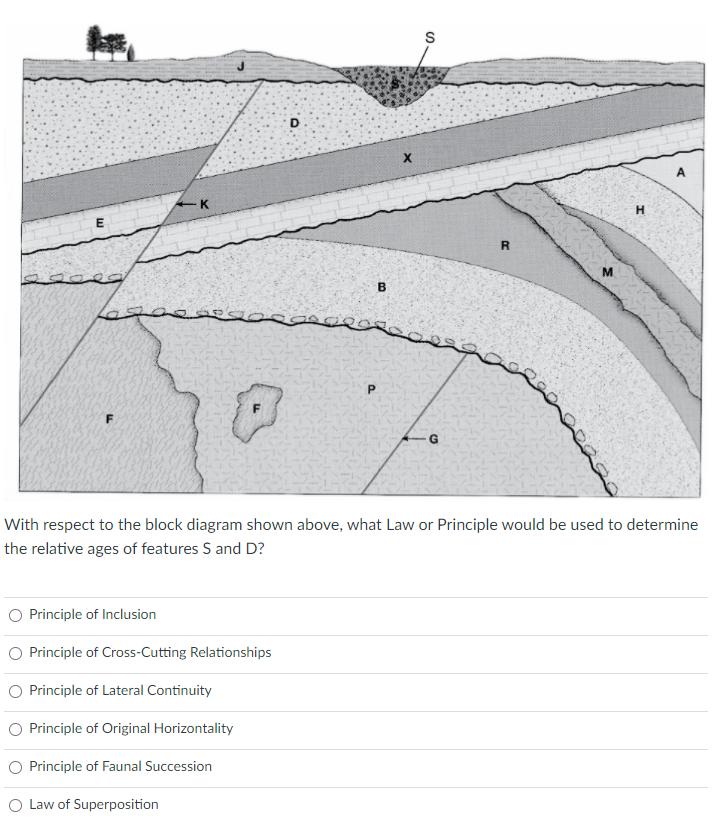 principle of faunal succession