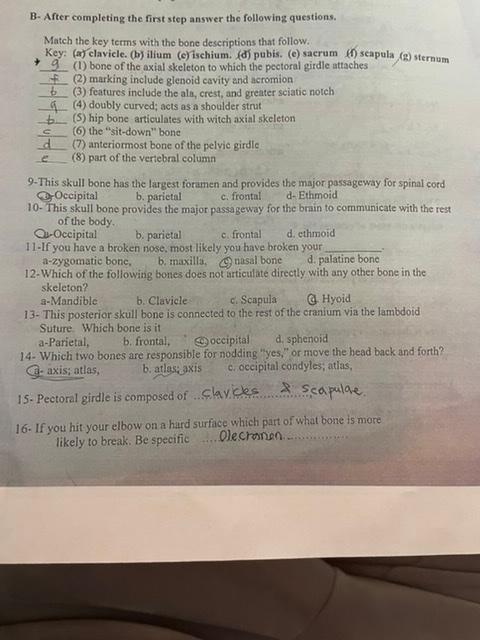 Solved B- After Completing The First Step Answer The | Chegg.com