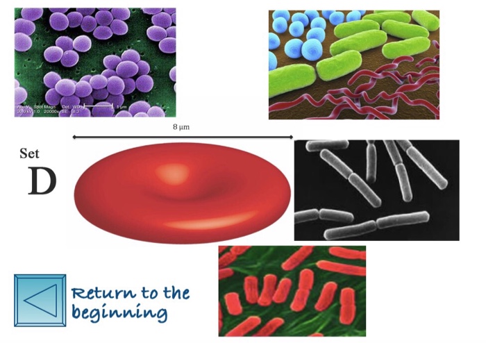 Solved Would you please be able to identify the following as | Chegg.com