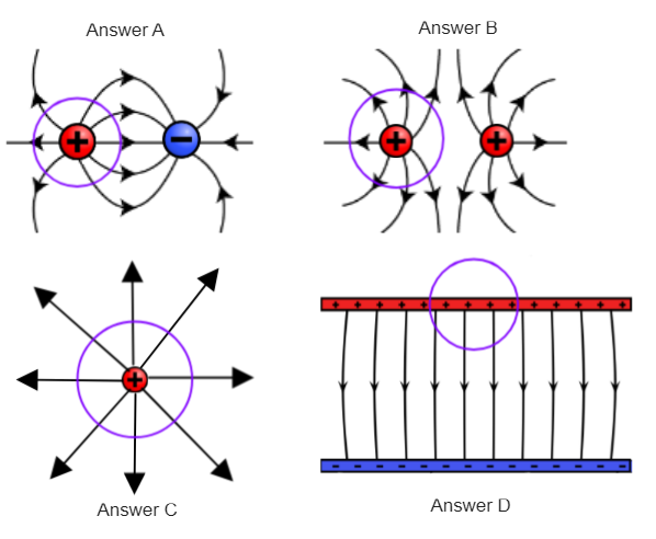 Solved Which of these pictures shows a Gaussian surface | Chegg.com