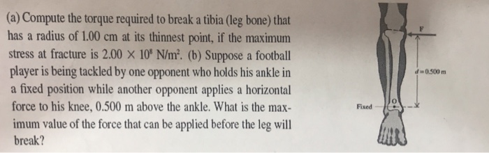 Solved (a) Compute the torque required to break a tibia (leg | Chegg.com