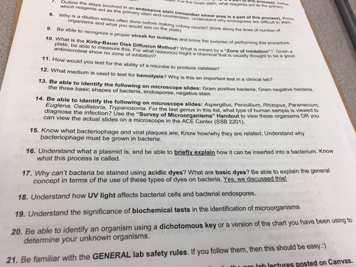 Solved . Outline the steps involved in an endospore stain