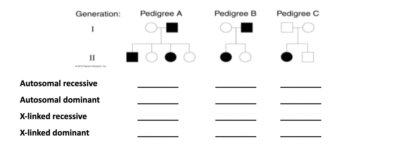 Solved For each pedigree (A, B, and C) state by answering | Chegg.com