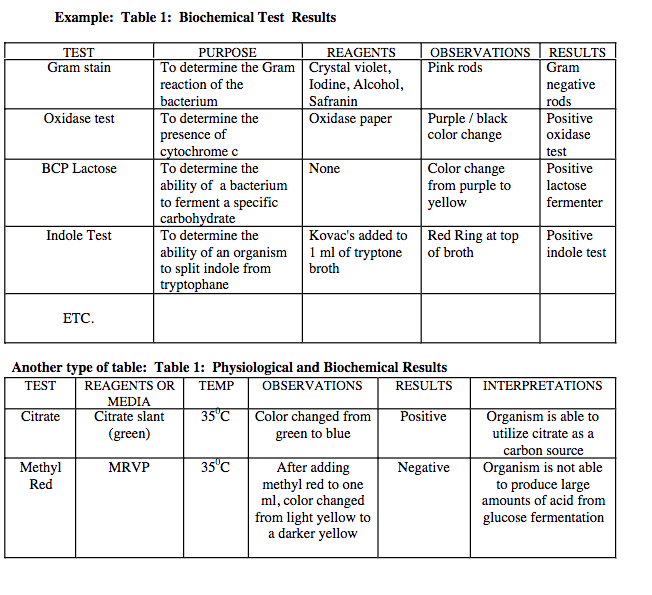 18+ Tests To Identify Bacteria Pictures