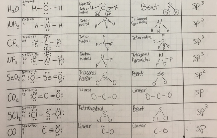 Solved Undefine 1 Identify The Molecules Ions In Part 5 Chegg Com