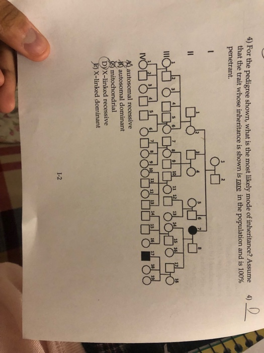 Solved 5) For the pedigree shown, what is the most likely | Chegg.com
