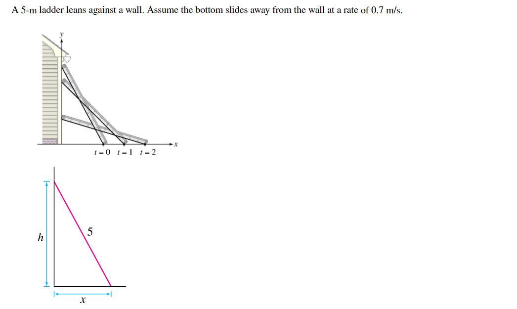 Solved A 5-m Ladder Leans Against A Wall. Assume The Bottom | Chegg.com