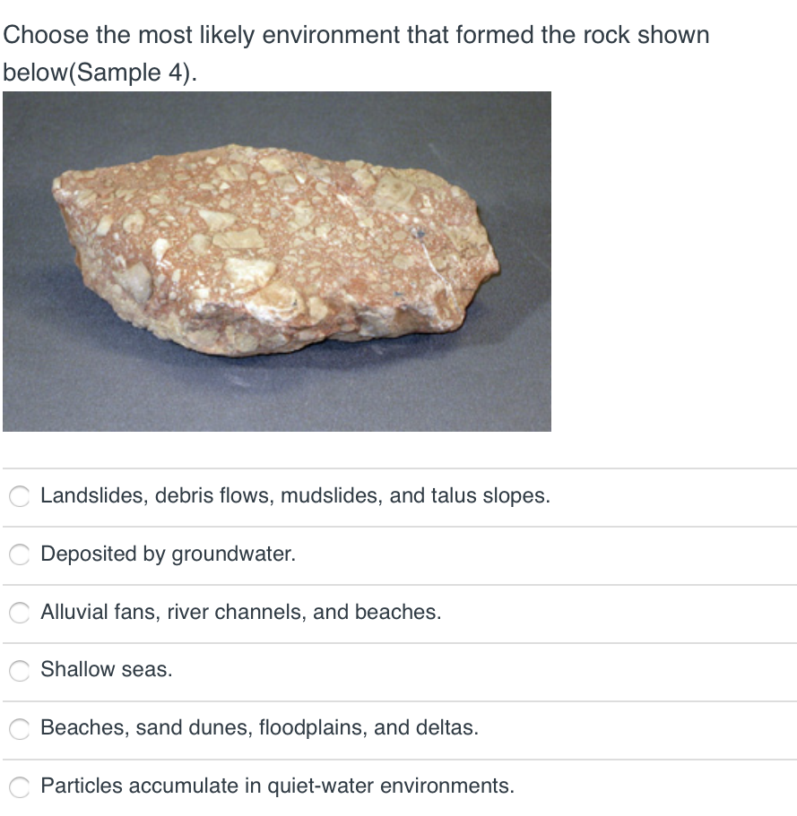 Solved Choose the most likely environment that formed the | Chegg.com