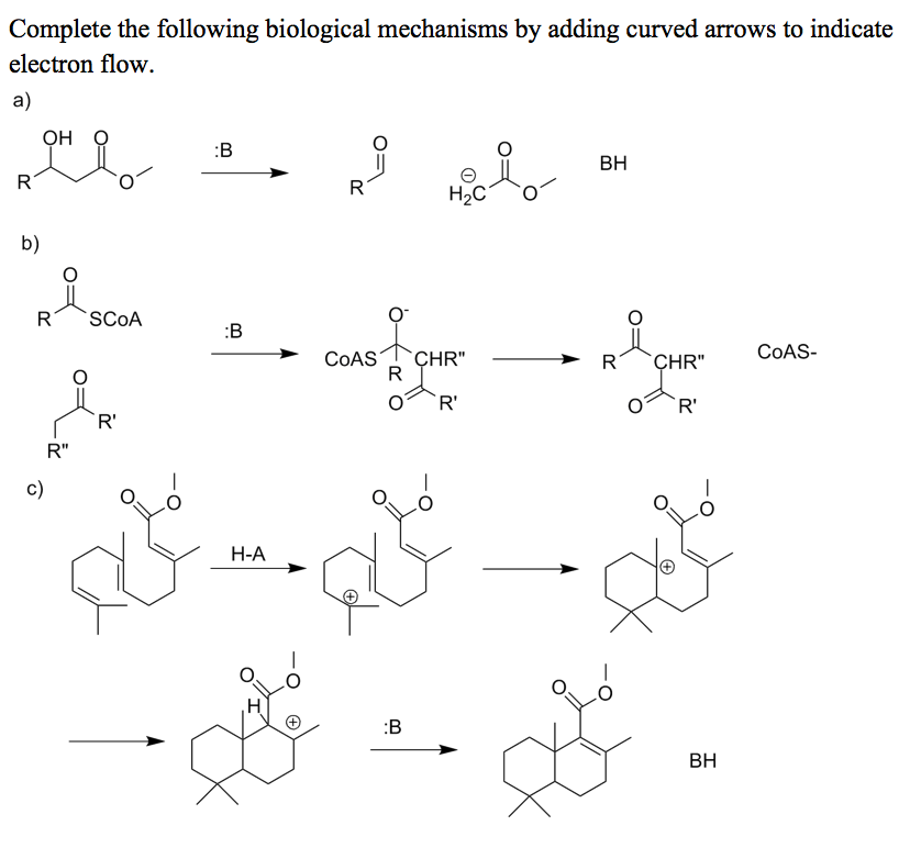 Solved Complete The Following Biological Mechanisms By | Chegg.com