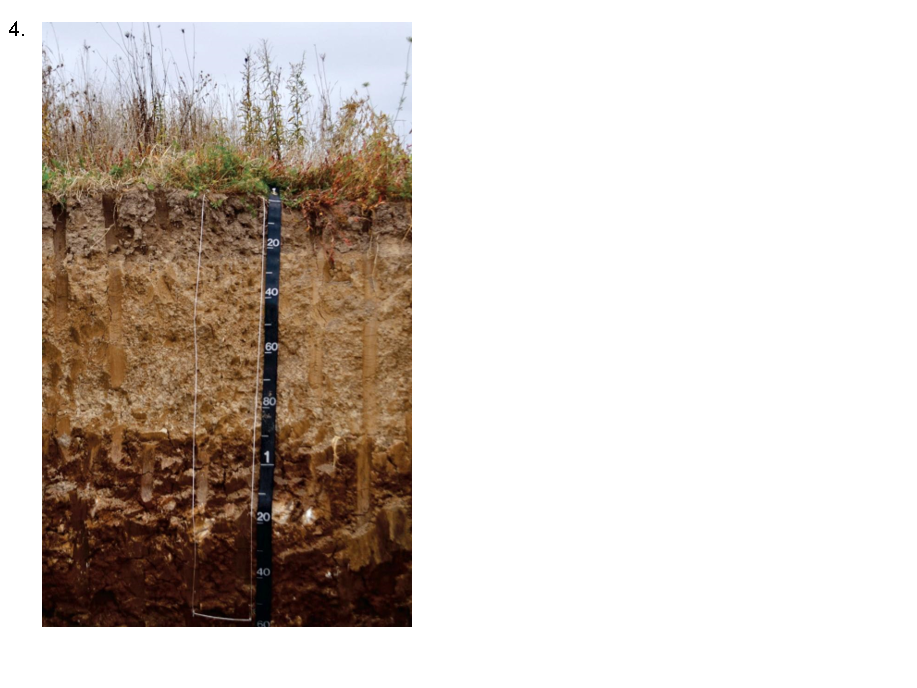 Solved For The Following Soil Profile Images, Label The | Chegg.com