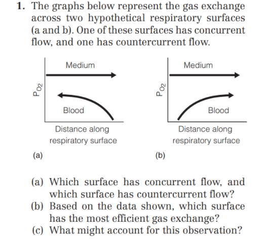 Solved Q. Based on the figure above (respiratory surface