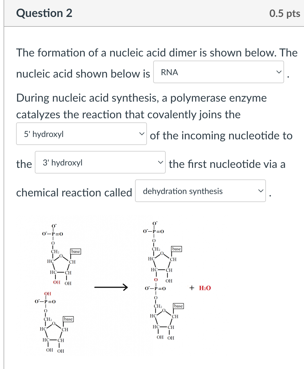 Solved The formation of a nucleic acid dimer is shown below.