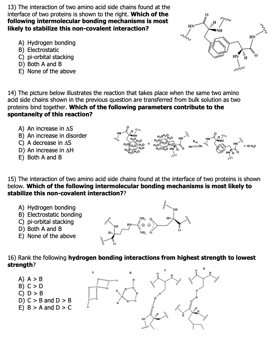 Solved 13) The Interaction Of Two Amino Acid Side Chains | Chegg.com