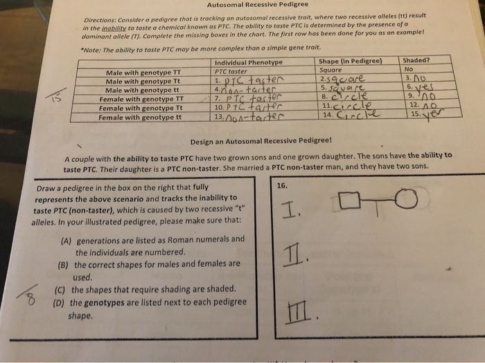 amoeba-sisters-pedigree-worksheet-answer-key-amoeba-sisters-video