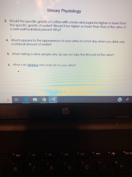 Solved Urinary Physiology 3. Would the specific gravity of | Chegg.com