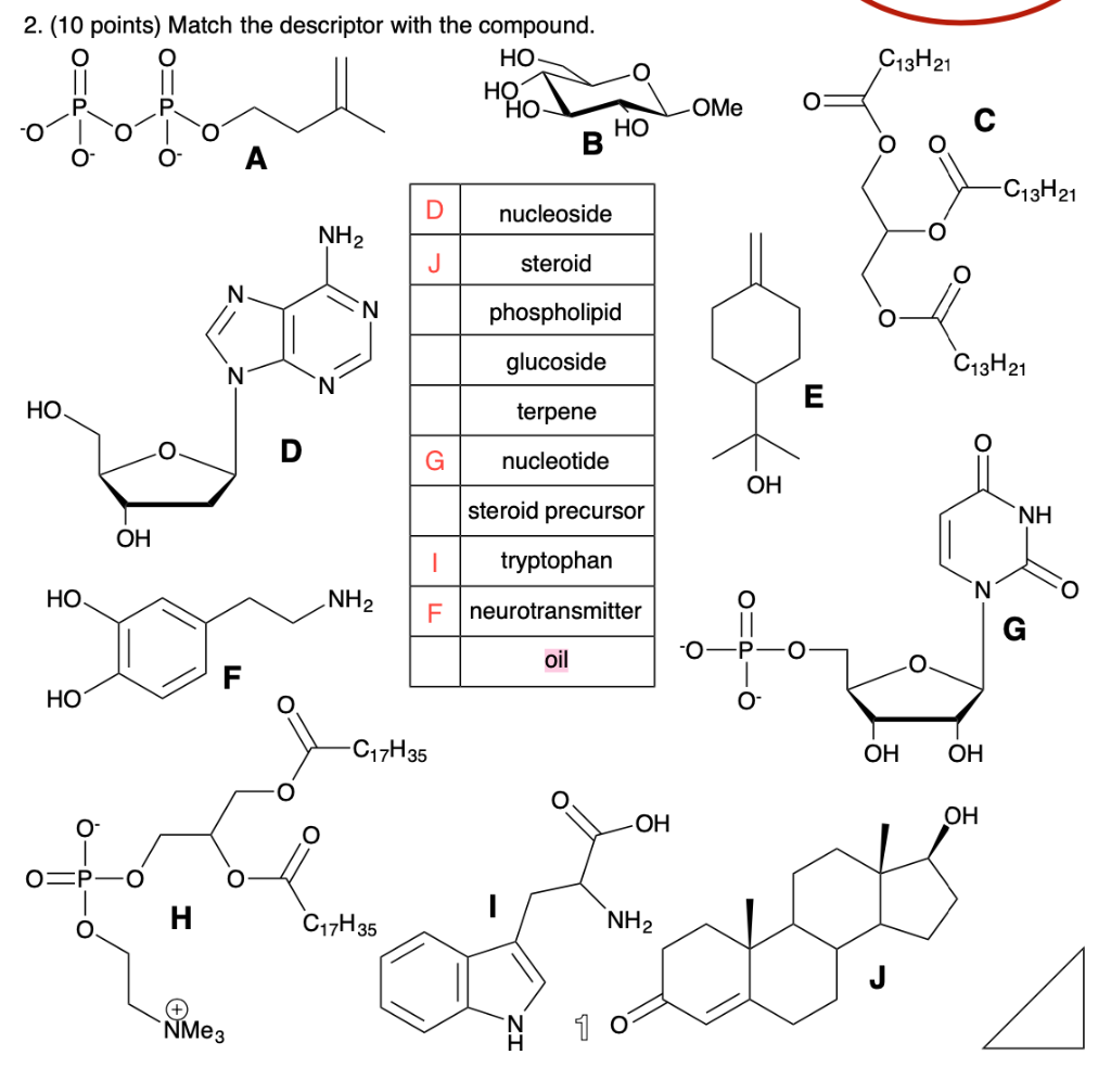 Solved C13h21 2 10 Points Match The Descriptor With Th Chegg Com