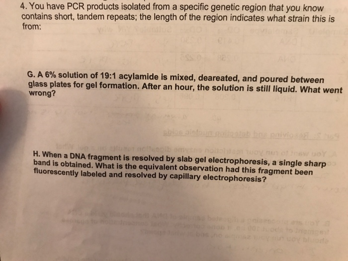 Solved 4. You have PCR products isolated from a specific | Chegg.com