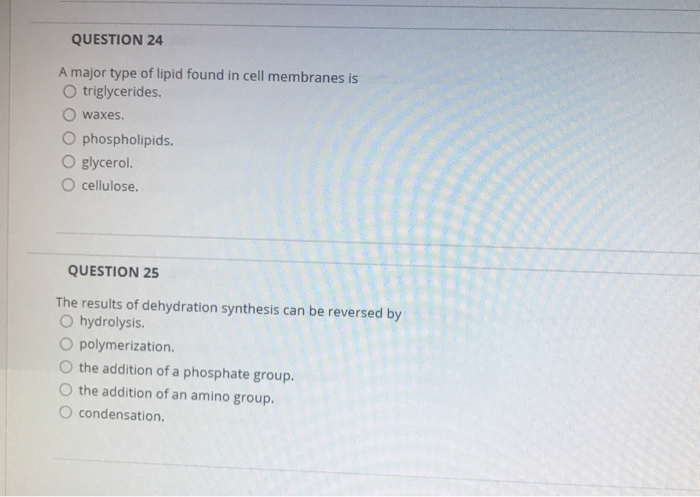 Solved QUESTION 24 A major type of lipid found in cell | Chegg.com