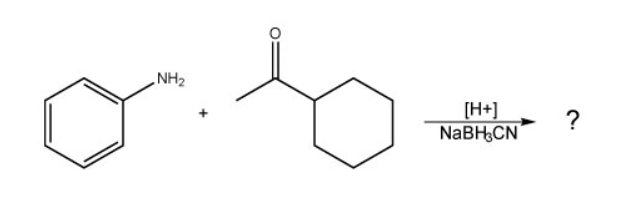 Solved NH2 [H+] NaBH&CN ? | Chegg.com