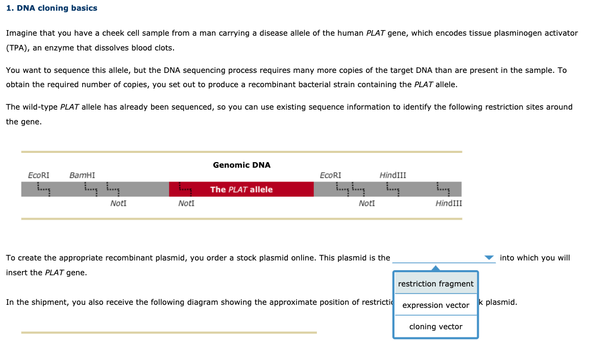 Solved 1. DNA Cloning Basics Imagine That You Have A Cheek | Chegg.com