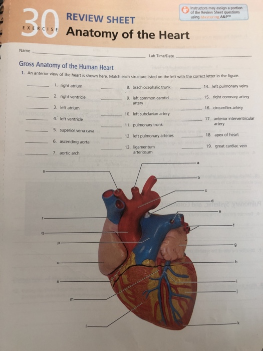 Solved answers needed asap please | Chegg.com