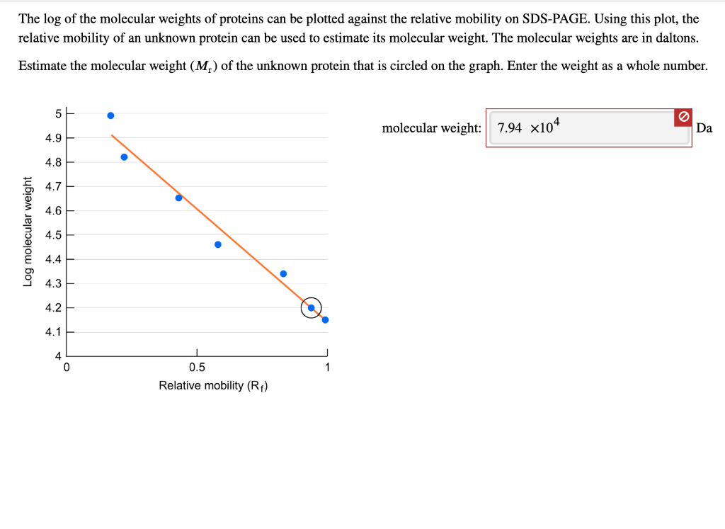 Solved The log of the molecular weights of proteins can be