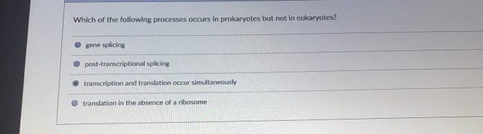 solved-which-of-the-following-processes-occurs-in-chegg