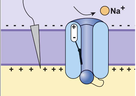 Solved In this picture a. two alternatives are correct | Chegg.com