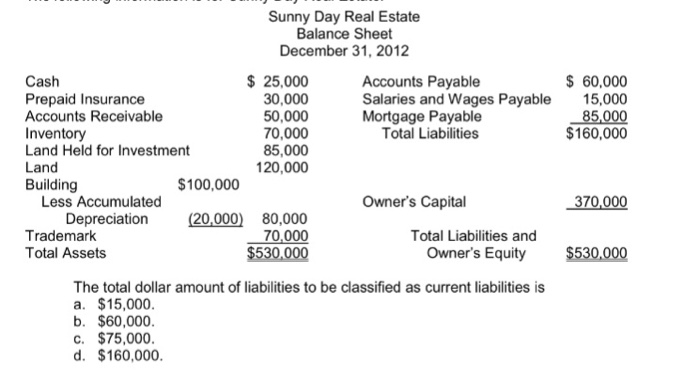 Solved Sunny Day Real Estate Balance Sheet December 31, 2012 | Chegg.com