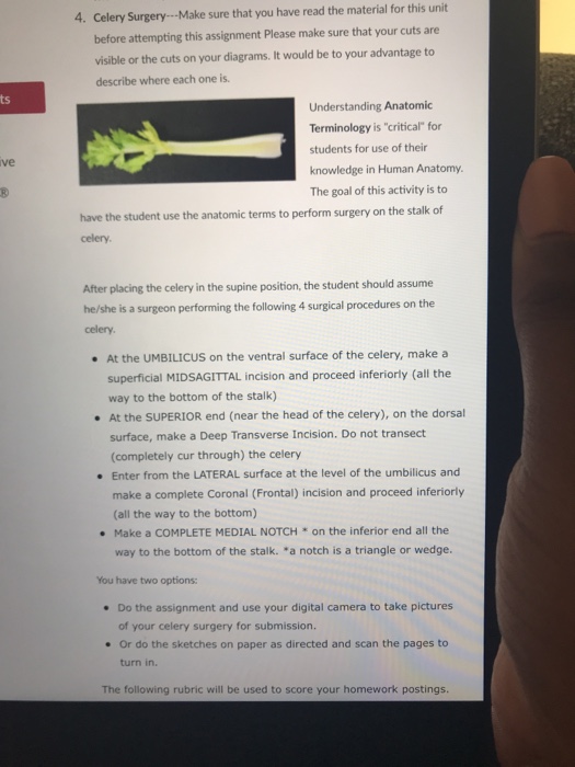 Solved for this unt 4. Celery Surery. Make sure that you | Chegg.com